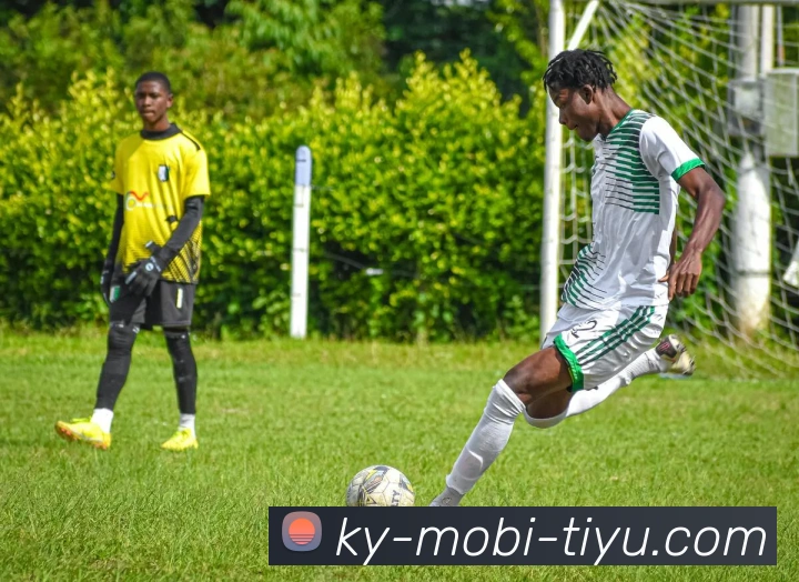 开云体育平台生态图